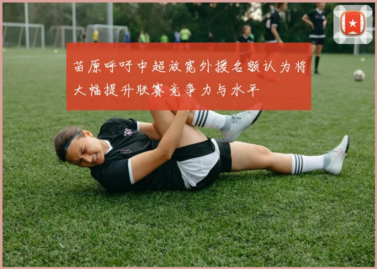 苗原呼吁中超放宽外援名额认为将大幅提升联赛竞争力与水平